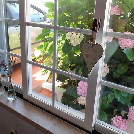 Flowerhouse Sintra Zewnętrze zdjęcie